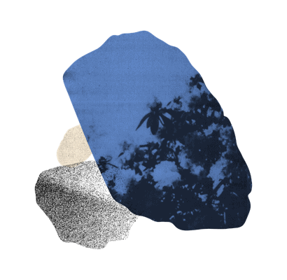 ovss